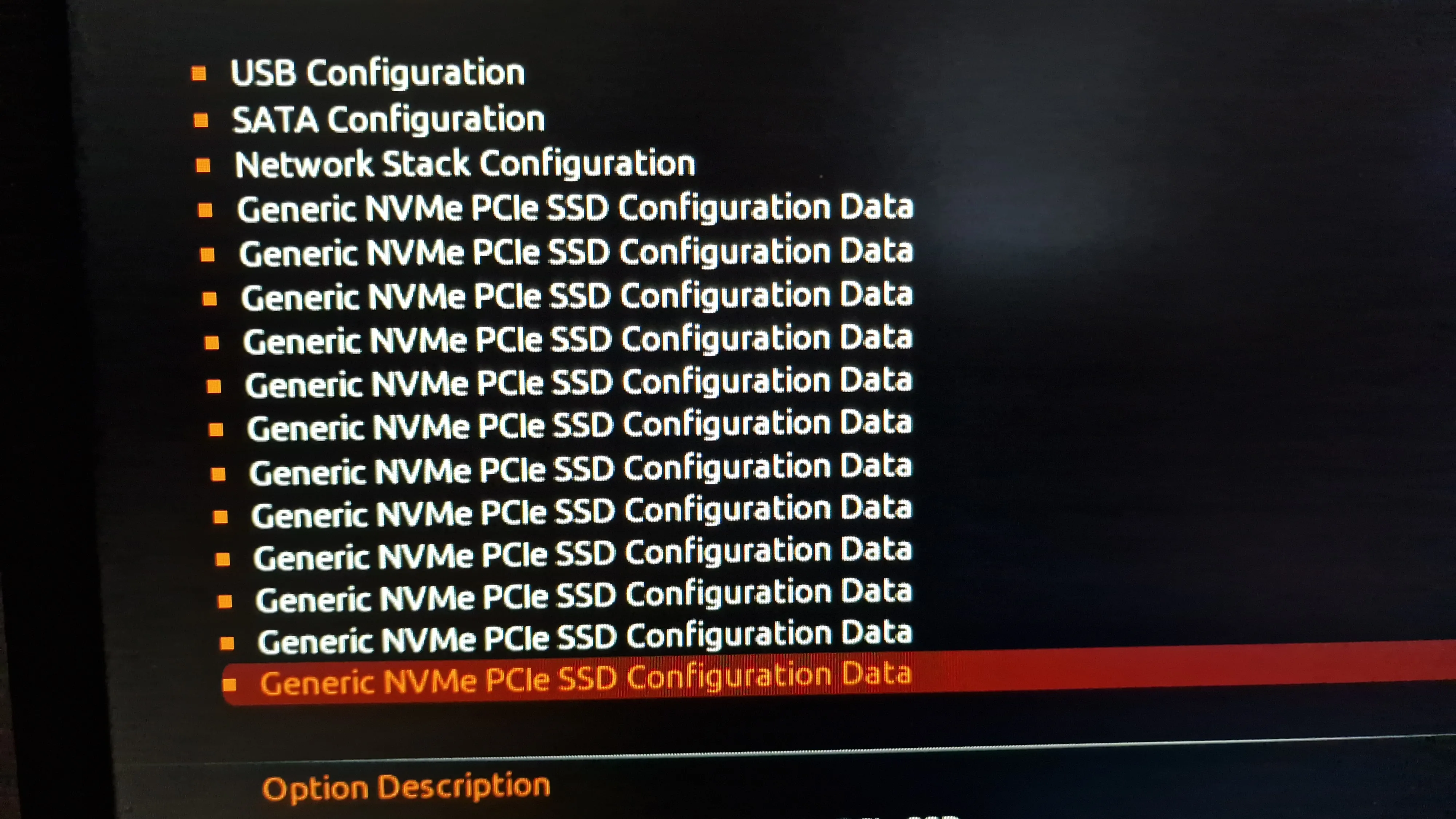 BIOS listing of all 12 SSDs
